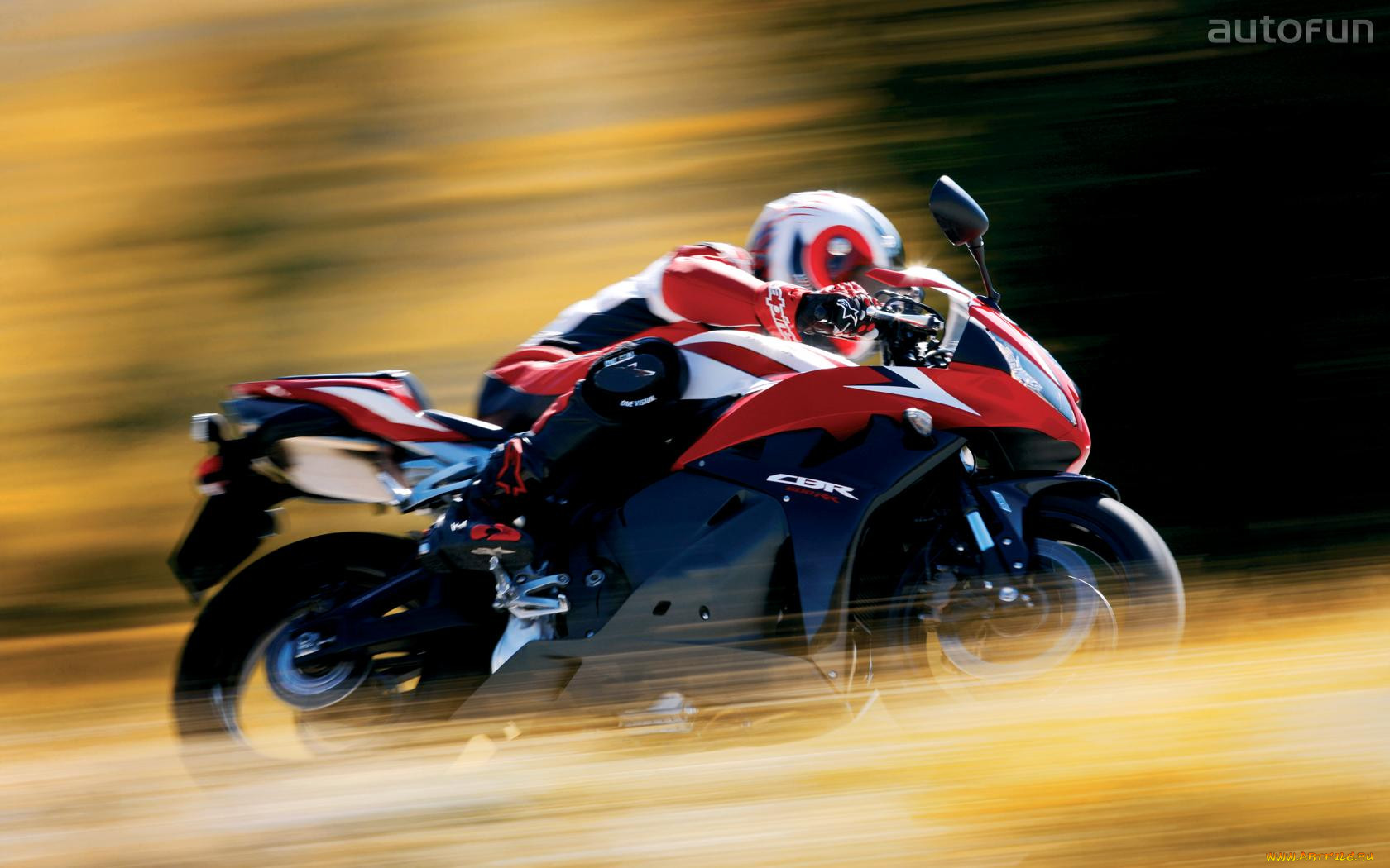 honda, cbr600rr, 